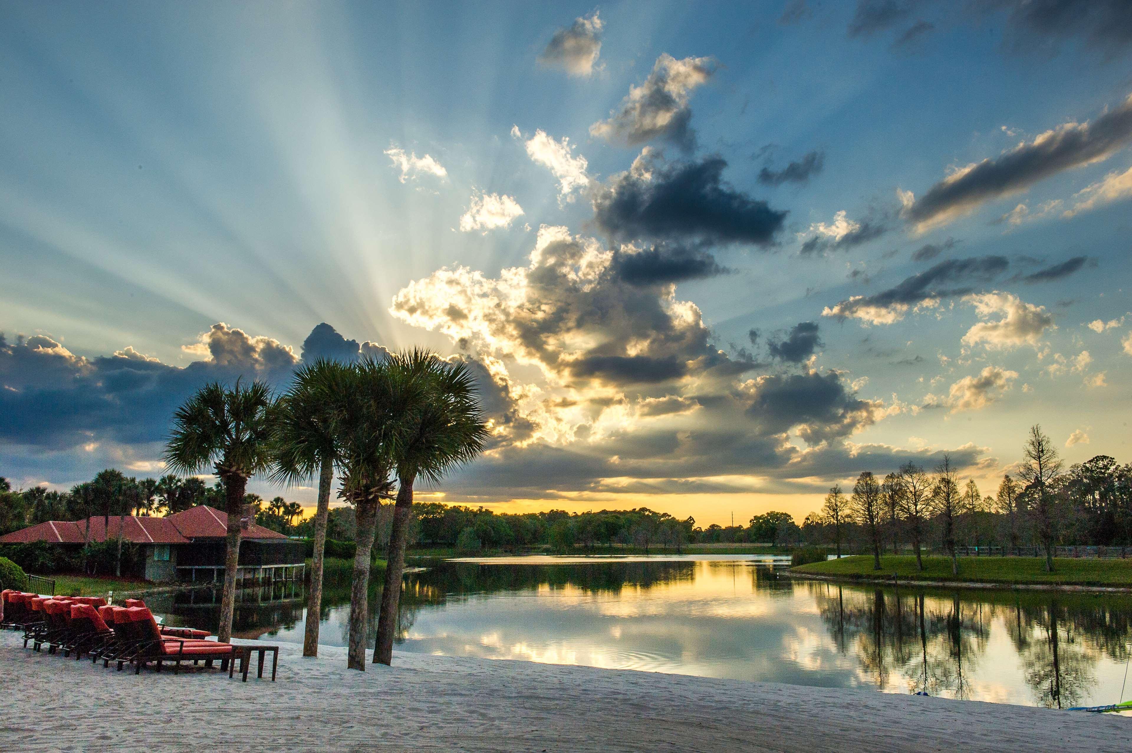 Hyatt Regency Grand Cypress - Free Shuttle To Theme Parks! 4*