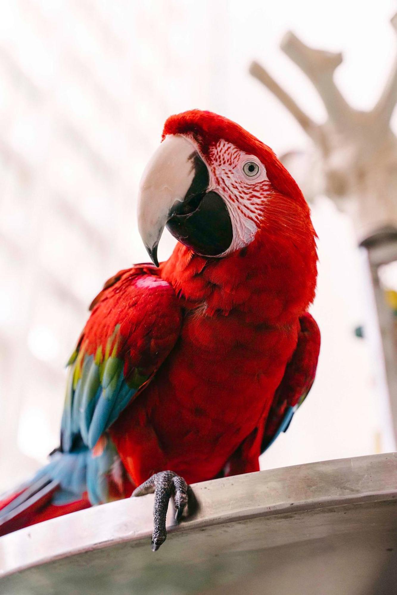 Hyatt Regency Grand Cypress - Free Shuttle To Theme Parks! 4*